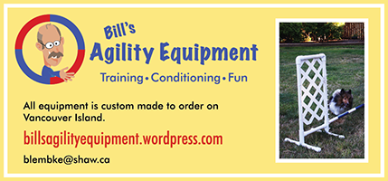 rg-sponsors-bae-200px