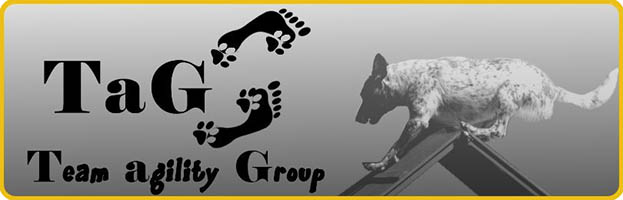 rg-sponsors-teamAgilityGroup-200px